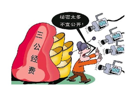 河南三公经费去年支出1.12亿 公车消费超过一半