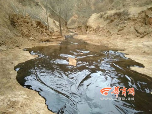 石油泄漏1.jpg