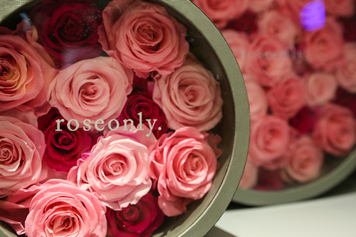 roseonly郑州丹尼斯大卫城开业10_副本.jpg