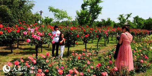 LOCAL201805071502000413946152860_副本.jpg