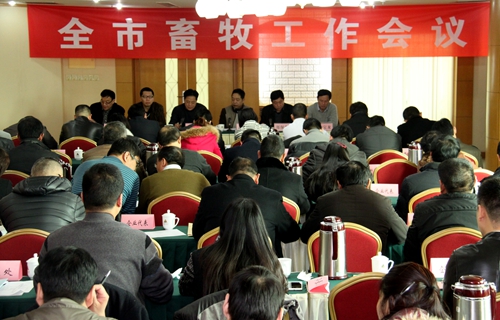 IMG_2859_副本.jpg
